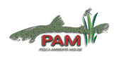 Logo Pam Pesca Ambiente Molise