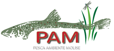 Pesca Ambiente Molise PAM Molise