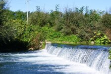 visita ist ittiogenico (34).jpg