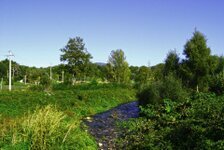 visita ist ittiogenico (41).jpg